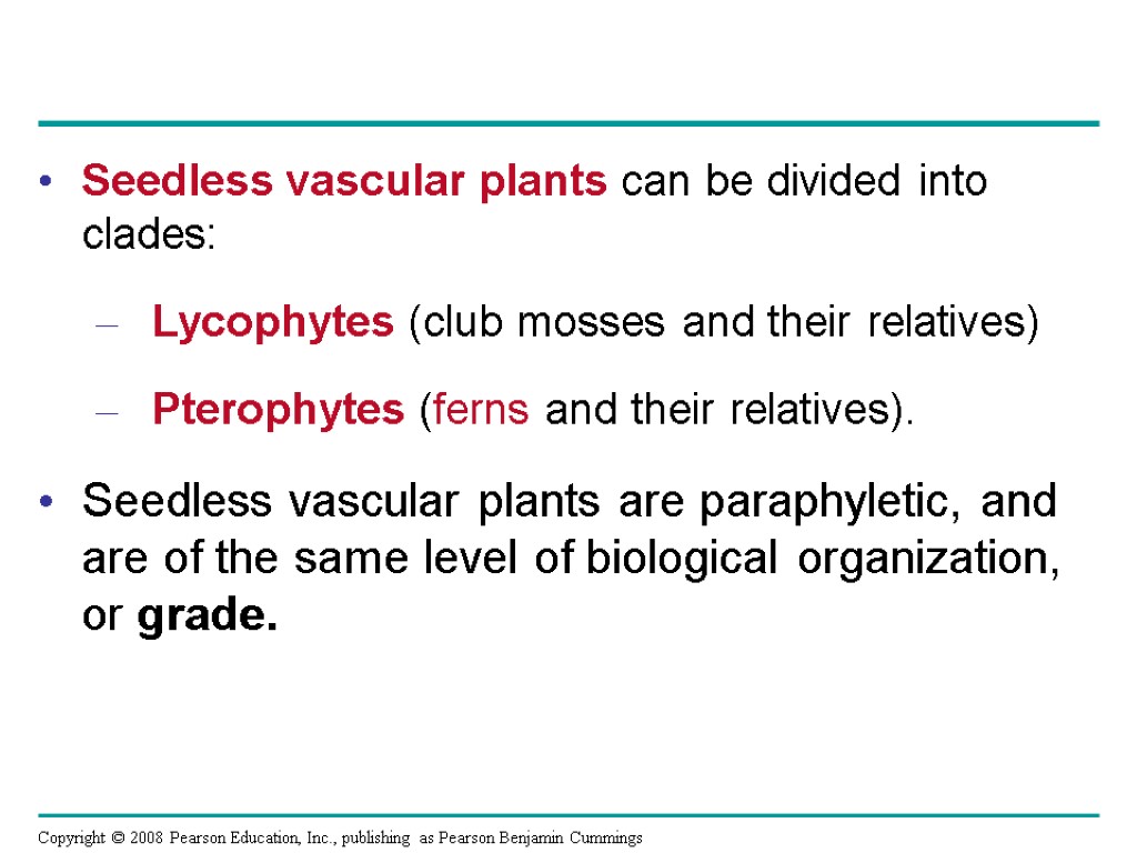 Seedless vascular plants can be divided into clades: Lycophytes (club mosses and their relatives)